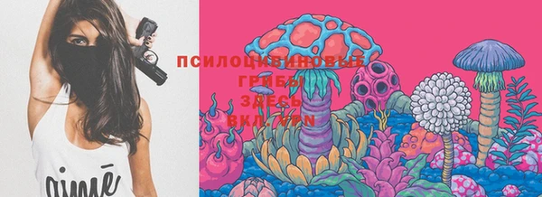прущие крисы Баксан