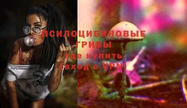 гидра Белокуриха